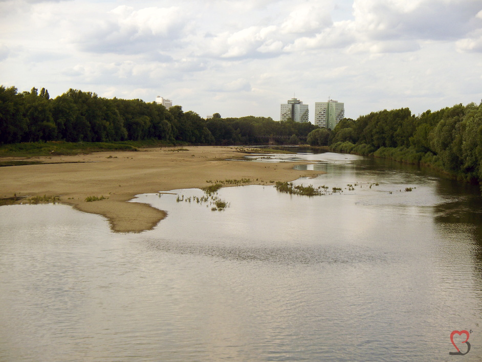 alte Elbe