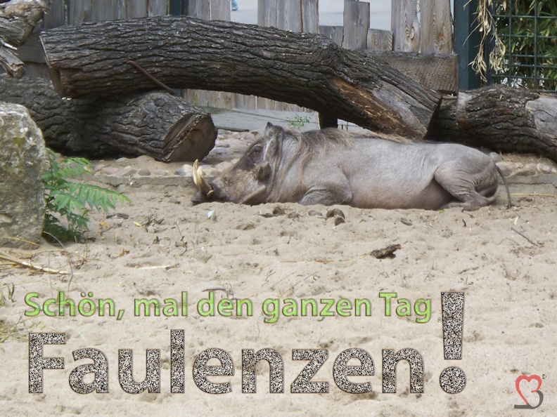 faulenzen.jpg