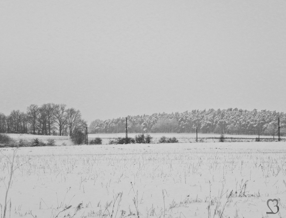 Winter Idylle