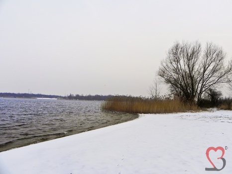 Neustädter See - Magdeburg