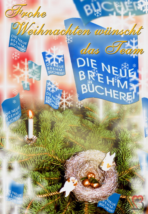 neuebrehm-weihnachtskarte
