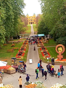 Kürbisse auf dem weg zum Schloss