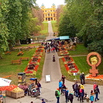 Kürbisse auf dem weg zum Schloss