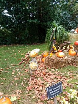 Kürbisfratzen im Schlossgarten