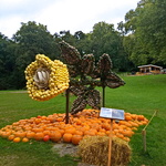 Rose aus Kürbissen im Schlossgarten