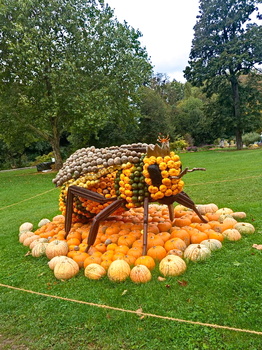 Kürbis Bienenkönigin