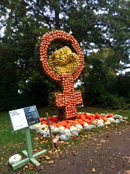 Frauen Bewegung Symbol aus Kürbissen