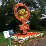 Frauen Bewegung Symbol aus Kürbissen