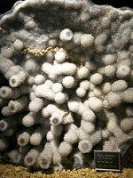 Welt der Kristalle -- Museum Welt der Kristalle in Dietingen in Baden Würtemberg