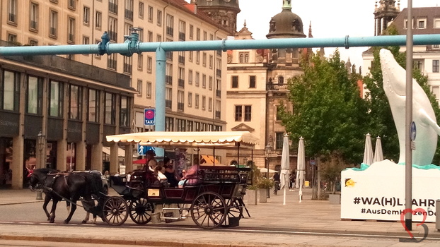 Kutsche in Dresden