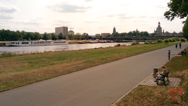 Fahrradweg an der Elbe Dresden