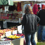 Pferdemarkt Havelberg 2010