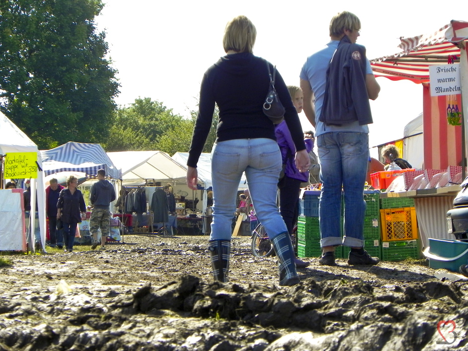 Pferdemarkt Havelberg 2010