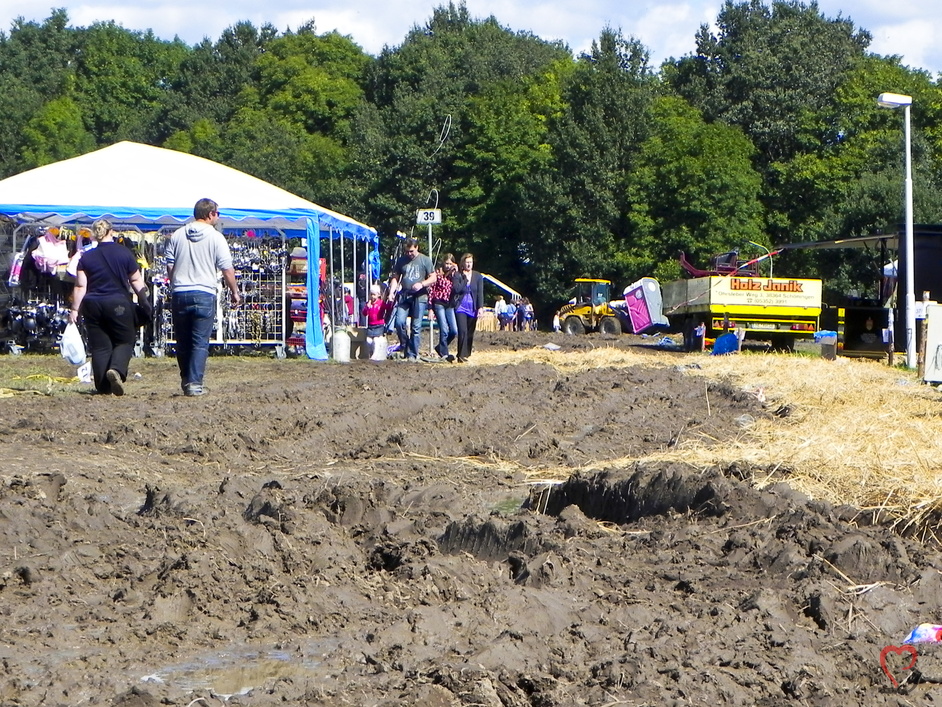 Pferdemarkt Havelberg 2010