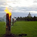 Schwedenfeuer auf der Elbauenwiese