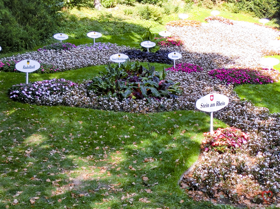 Bodensee als Blumenmeer