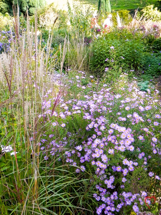 Blumen