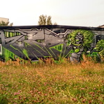 Graffiti Schlange