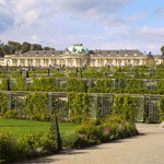 Schloss Sanssouci mit Weinhang