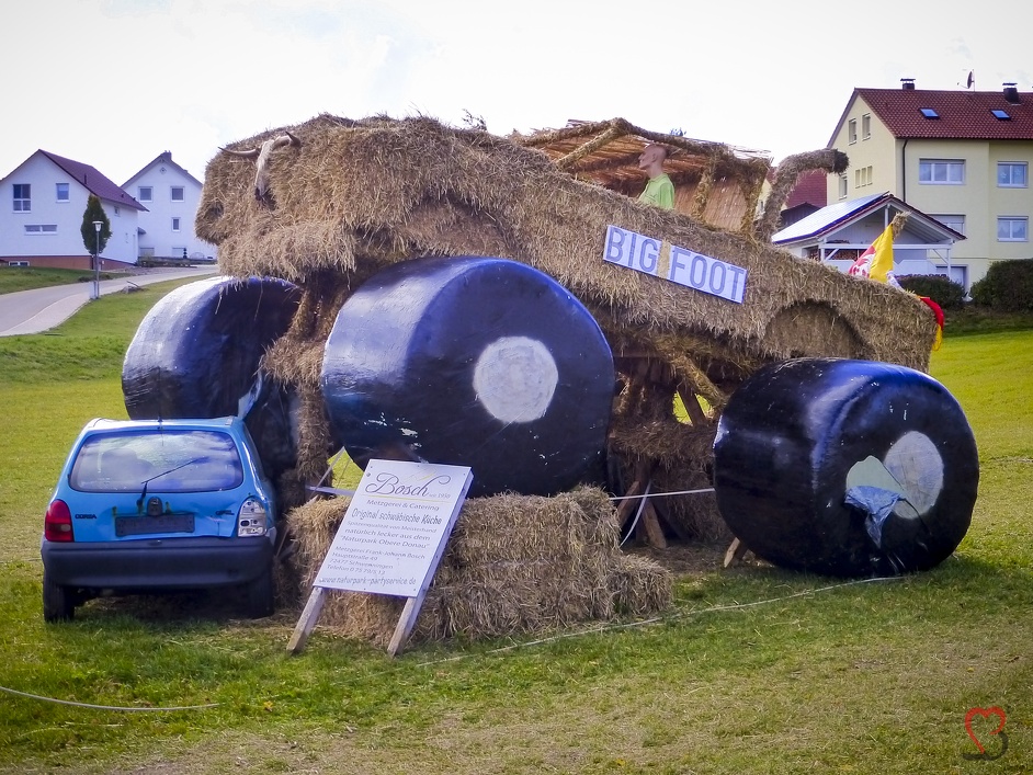 Schwenninger Strohpark 2015