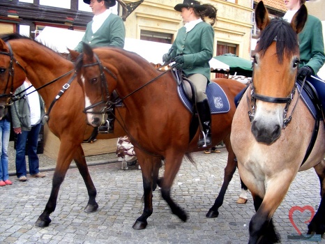Burgfest Pferde Reiter