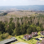 Landschaft um Torfhaus