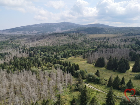 Torhauslandschaft mit Blick zum Brocken