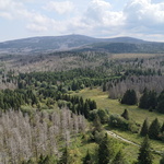 Torhauslandschaft mit Blick zum Brocken