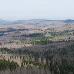 Torfhaus Landschaft