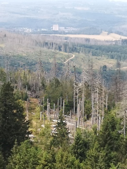 Torfhaus Landschaft