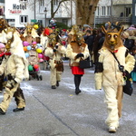 Fashing Kostüme in Tuttlingen