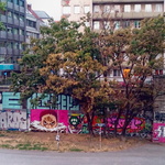 Graffitti Malerei in Wien