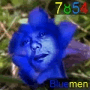 bluemen - 7854