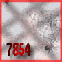 spider - 7854 - animiert