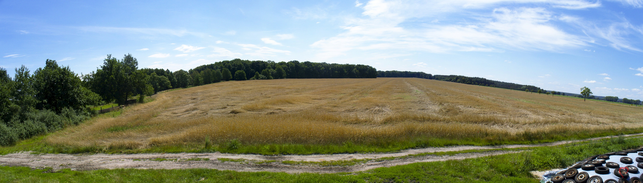 Panorama Kornfeld Schoenwalde