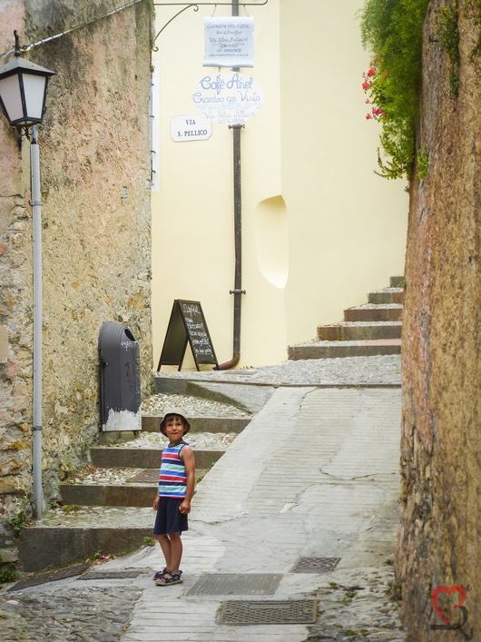 Cervo