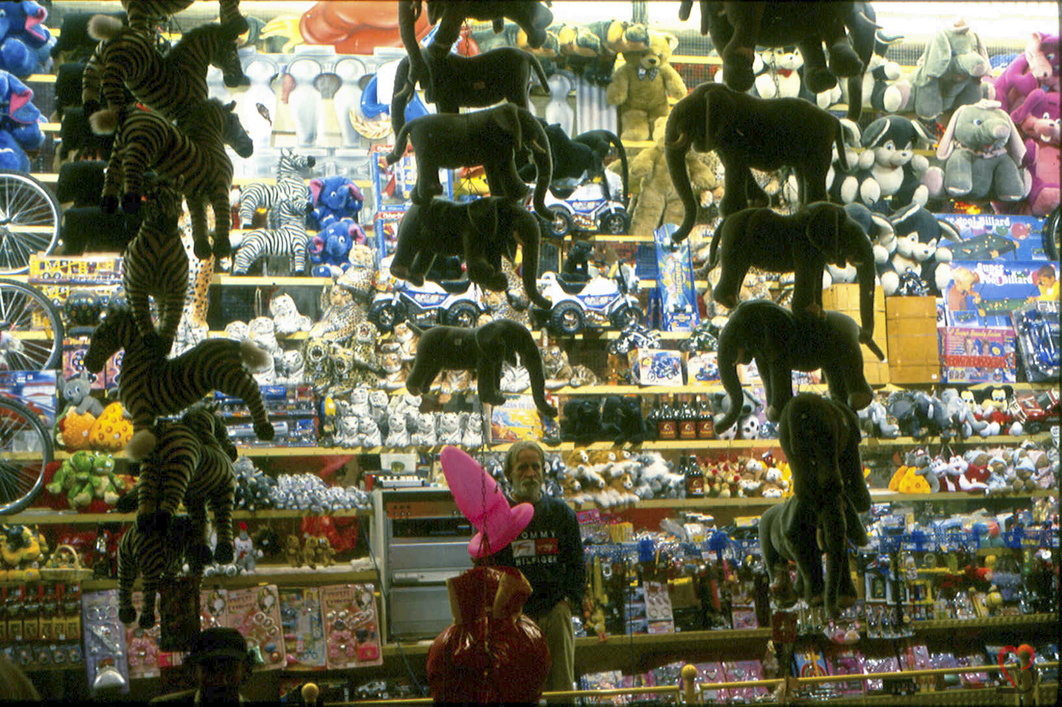 20036