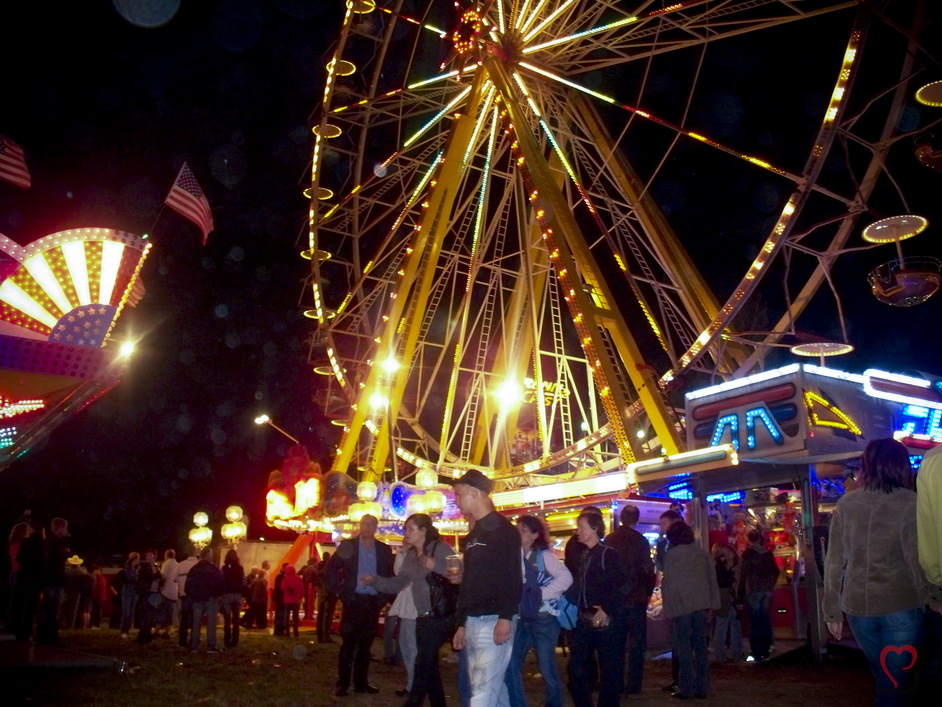 Havelberg Pferdemarkt 2008