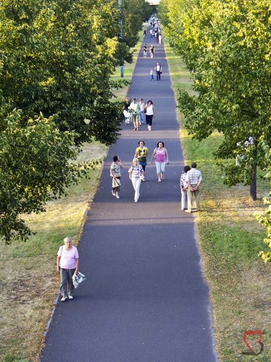 Fussgänger an der Herrenkrugstrasse