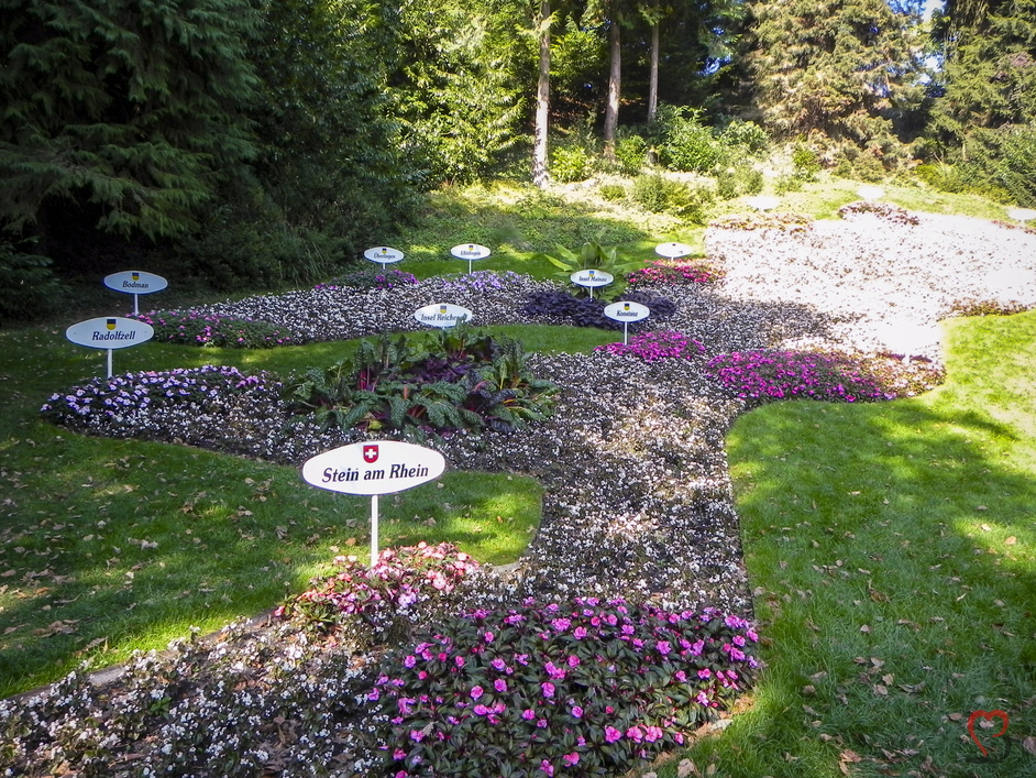 Blumenpracht als Bodensee Bild