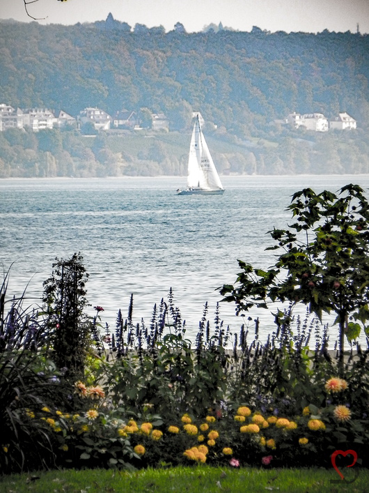Blick auf den See