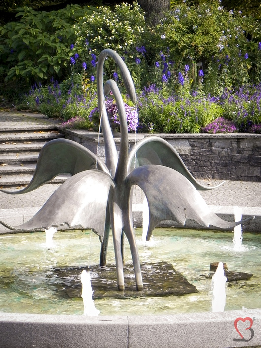 Schwanen Brunnen
