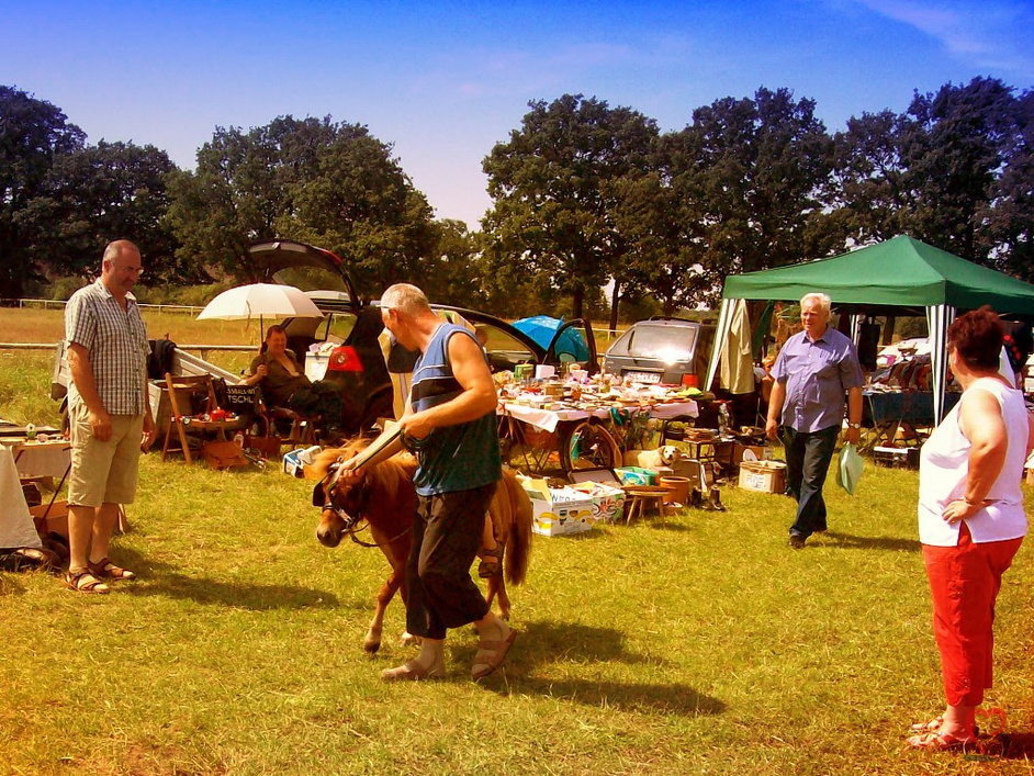 Wiesenflohmarkt Ponyreiten
