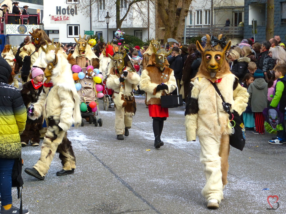 Fashing Kostüme in Tuttlingen