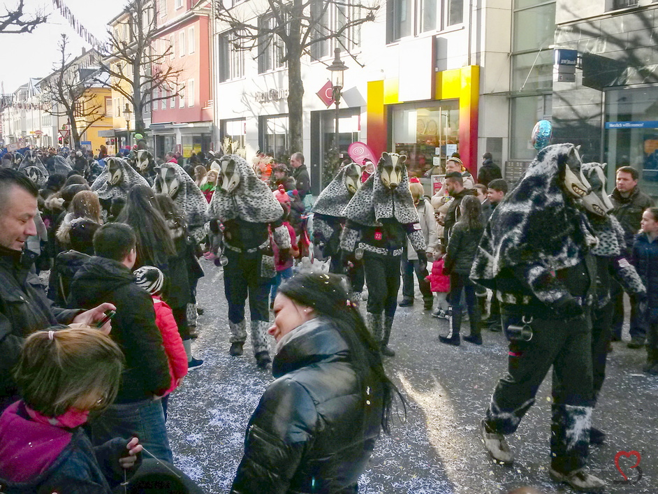 Wölfe beim Fashing